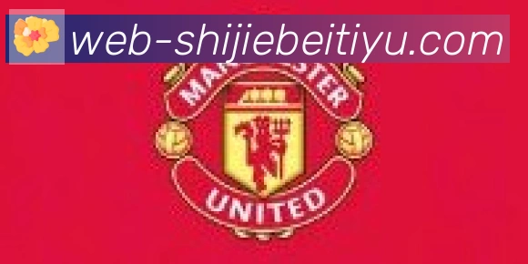 美加墨世界杯赛事官方网站合作伙伴